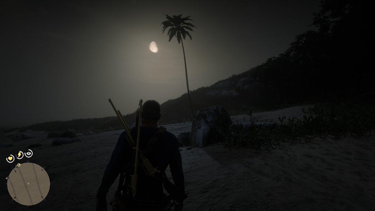 ImaLadyGamer's tweet image. #StandintheLight ☀️🌕
#RDR2