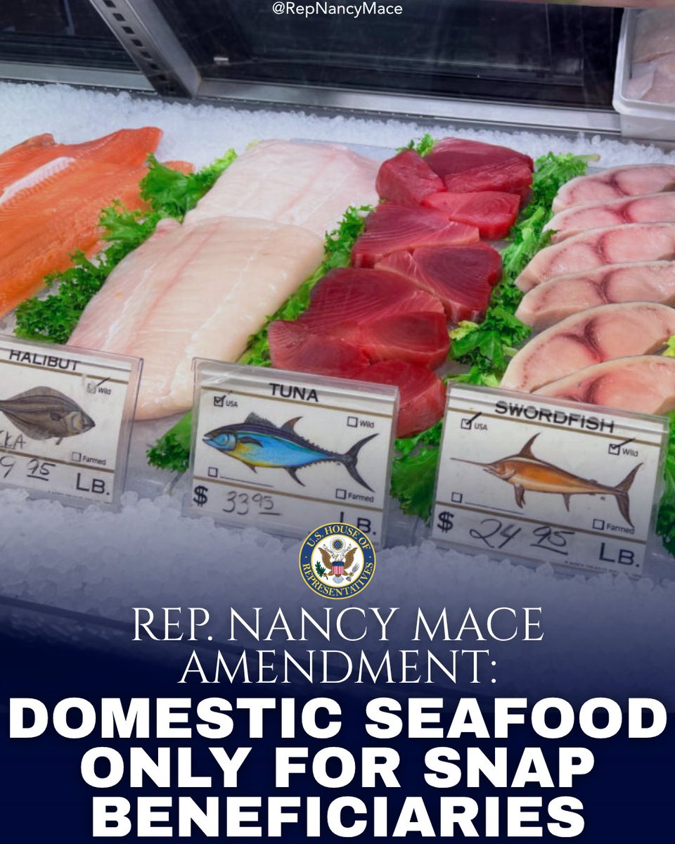 Rep. Nancy Mace tweet media