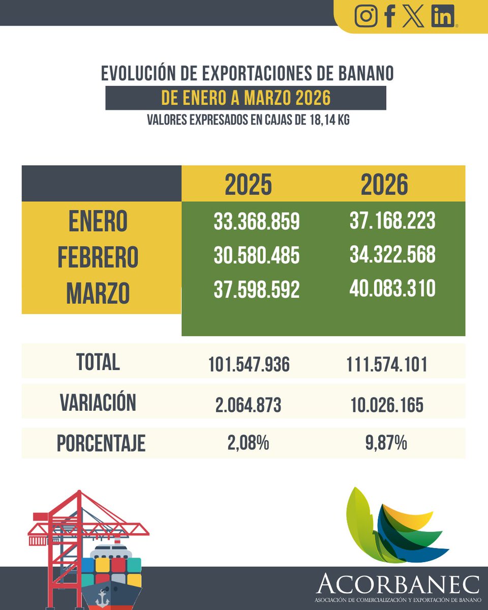 acorbanec's tweet photo. Las exportaciones de banano ecuatoriano mantienen un crecimiento sostenido📈🍌
Entre enero y marzo de 2026, el país exportó 111,57 millones de cajas, lo que representa un +9,87 % más que en el mismo periodo de 2025.
Descarga nuestro Informe aquí https://t.co/hTEBE4g7VN https://t.co/YWZurdMEO4