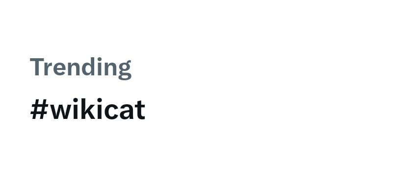 B.Verse tweet media