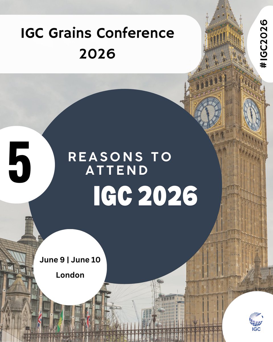 IGCgrains's tweet image. #IGC2026 is in 6 weeks! 
Here are 5 reasons explaining why this is the place to be for talks around international grains trade. Exchange with market experts, policy makers and risk masters.  
#import #export #trade #Commodities #grains #freight #shipping #cargo #prices #pulses