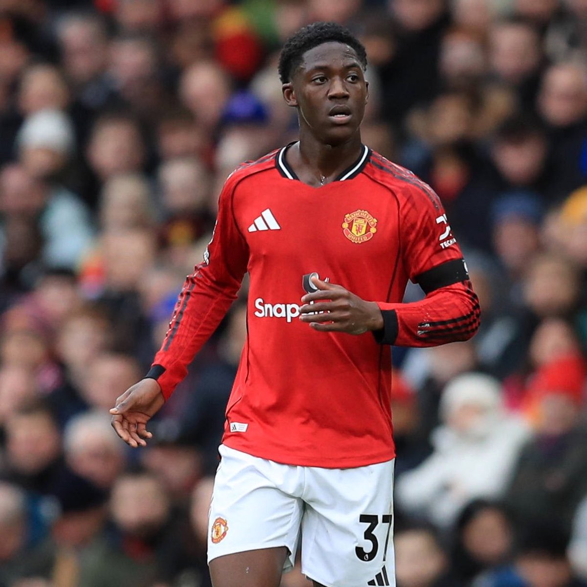 TheEuropeanLad tweet media