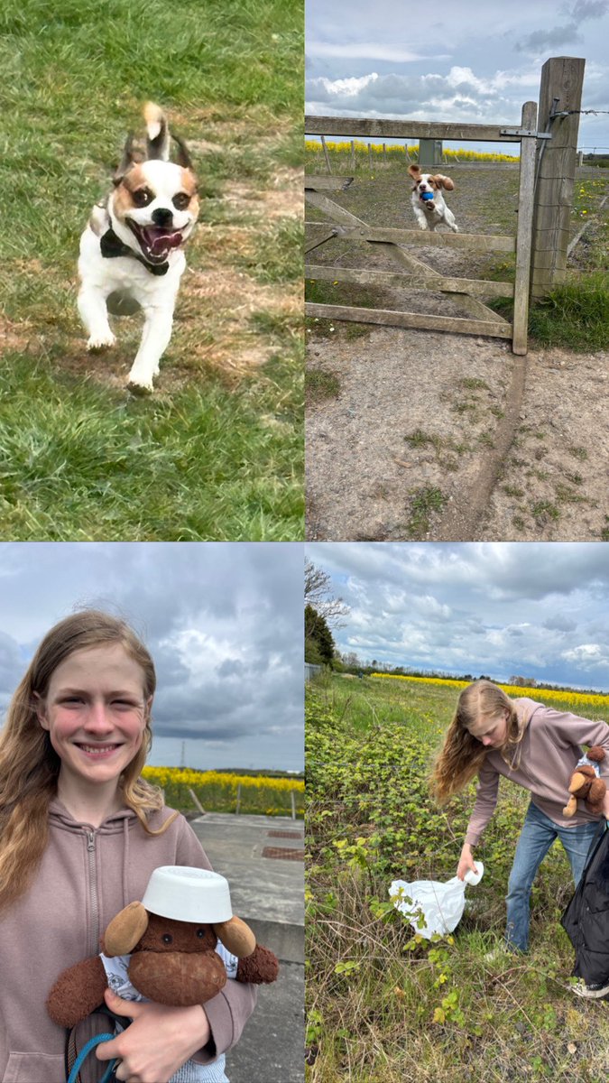 waddells74's tweet image. Out with my 🐶 🐶 🐶 protecting all the crop 🌾 🌱 fields and 🐦 🐇 🦊 🐞 🐛 🐝 🦋 🐮 🐑 🐐 🦢 from #plastic #litter just #Binit 😀 🗑️ xxx