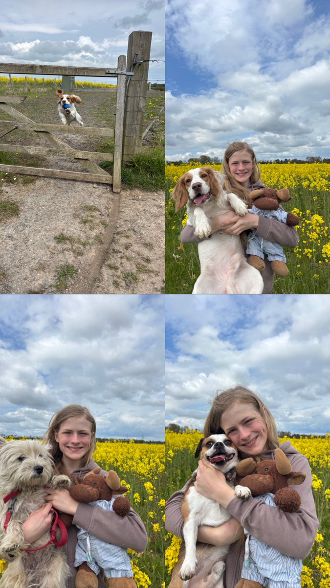 waddells74's tweet image. Out with my 🐶 🐶 🐶 protecting all the crop 🌾 🌱 fields and 🐦 🐇 🦊 🐞 🐛 🐝 🦋 🐮 🐑 🐐 🦢 from #plastic #litter just #Binit 😀 🗑️ xxx