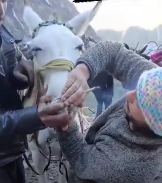 dilthi_gujarati's tweet image. Shame on demonic asuri tatva humans menace 

Apna harami pana bandh karo yatra karni hai apne pero se kari harami insano 

Janvar tumhare baap ki jagir nahi hai raxaso

#Humans apni aukaat me rehke pehle insaan bano fir karna 4 dham ki yatra

Mahadev Pashupatinath karenge nyay