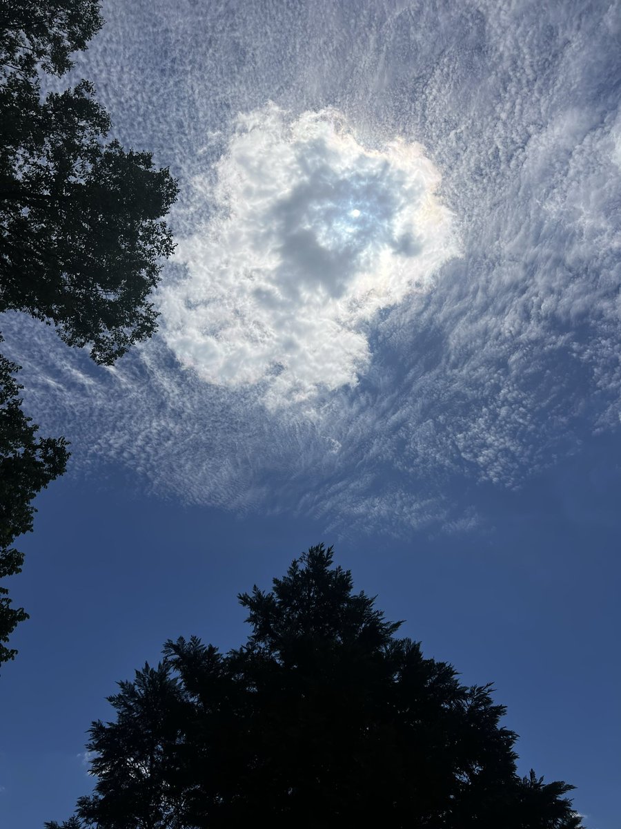 Jennifer Reece tweet media