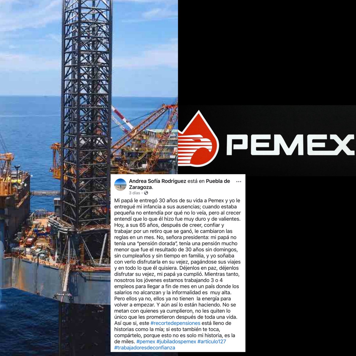 Cerebros tweet media