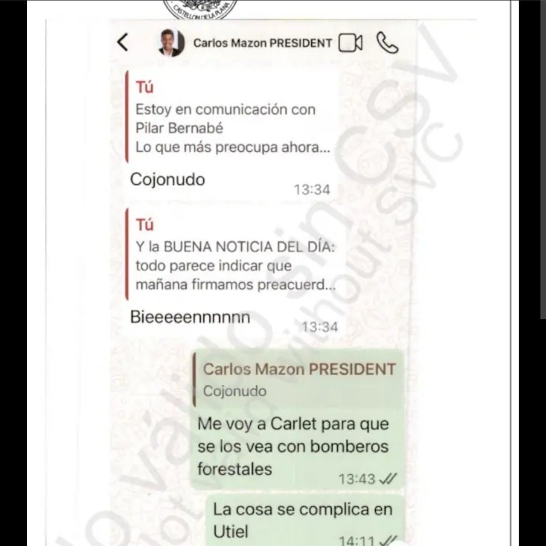 José Vico 🔻🇵🇸🇿🇦 tweet media