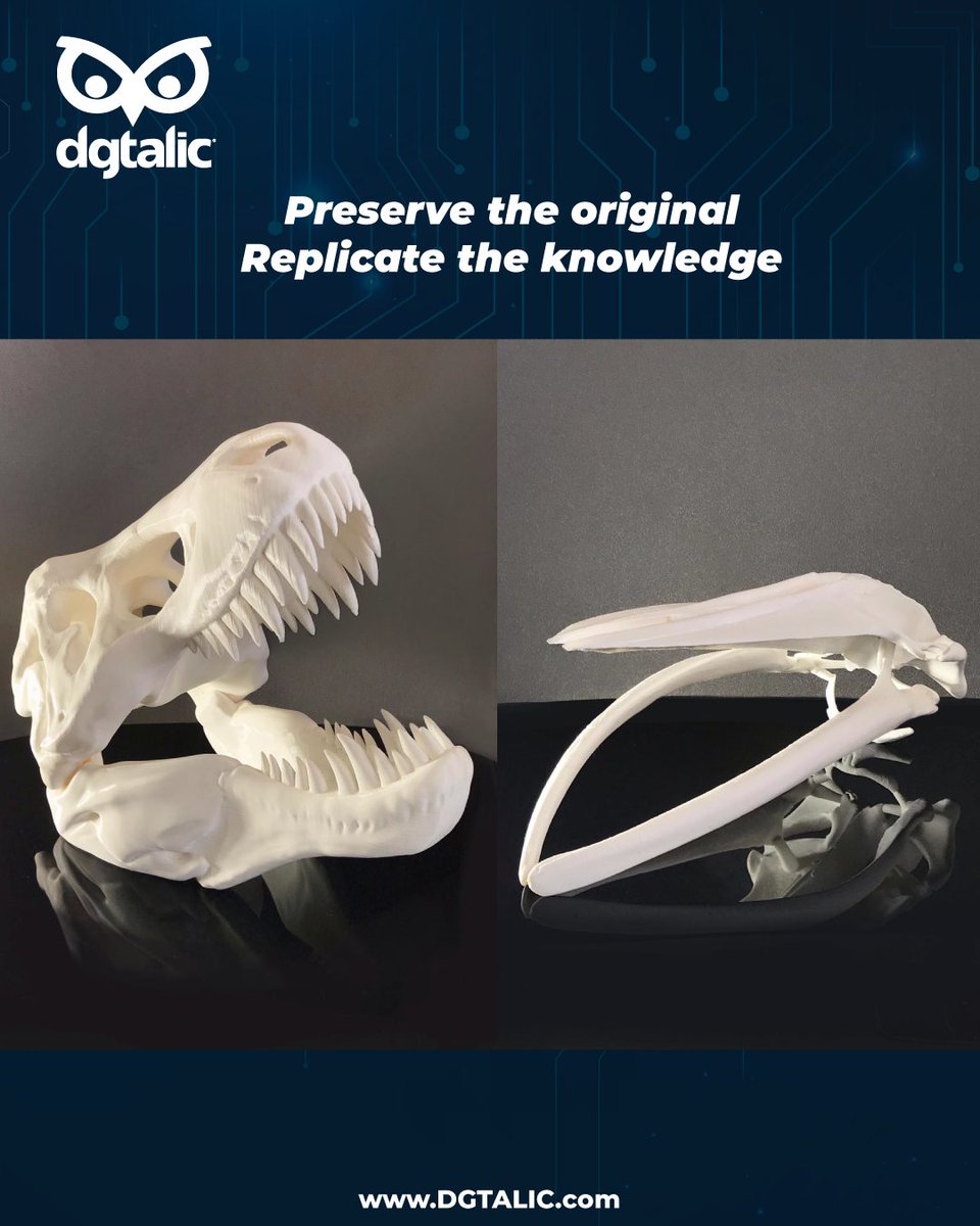 DGtalic's tweet photo. Preserve the original. Replicate the knowledge.

Impresión 3D en estudio óseo y arqueológico:
→ Réplicas exactas
→ Cero intervención
→ Más acceso y análisis
Del hallazgo al laboratorio, sin perder detalle. https://t.co/PUH9W5ay4h