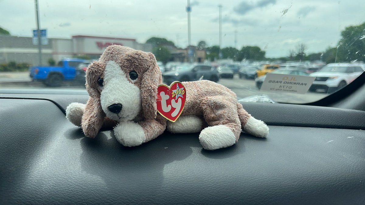 i got a new best friend today :3 his name is sniffer