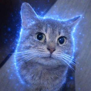 六花rocca【大和憲実隊】 tweet media