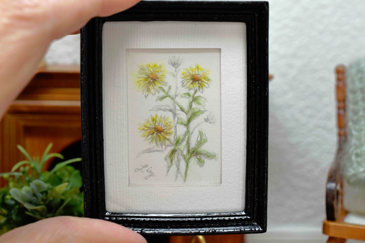 LittleEmptyNest's tweet image. Miniature Botanical Painting, Yellow Wildflower, 1 12 Scale, Original Framed Watercolor Art
etsy.com/listing/163941…
#mothersdaygiftidea #wildflowers #daisy #originalart #EtsyHandmade #etsyfinds #etsygifts #etsyshop #EtsySeller #giftideas #EtsyTeamUNITY