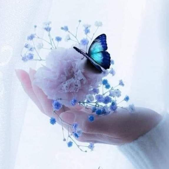 زْھَہّرة | 🦋 💞 tweet media