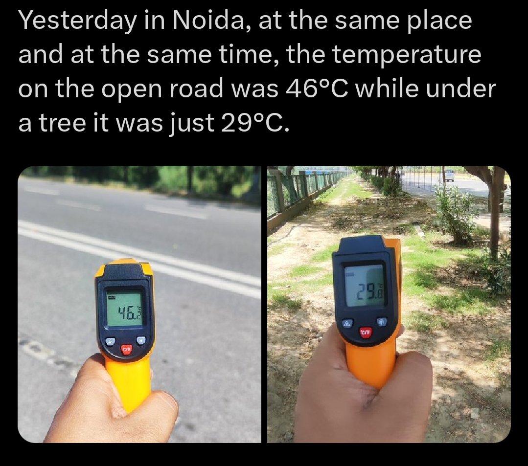 DrAnanthakj's tweet image. With the temperature souring across India the quick temporary solution might feel like buying AC or Cooler for heat but we must focus on responsible construction, planting more trees, prevention of destruction of forests/cutting of trees. #PlantMorePlants #HeatWaveTips #nature