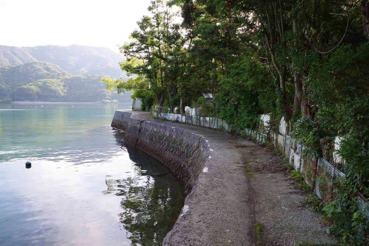 BANG-YOU（ばんゆう） tweet media