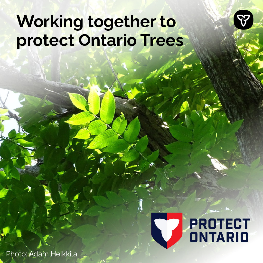 Environment Ontario tweet media