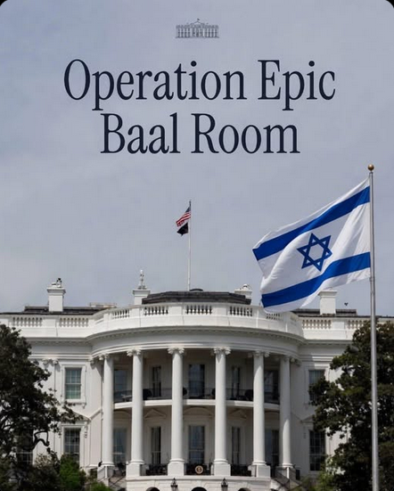 HighImpactFlix tweet media