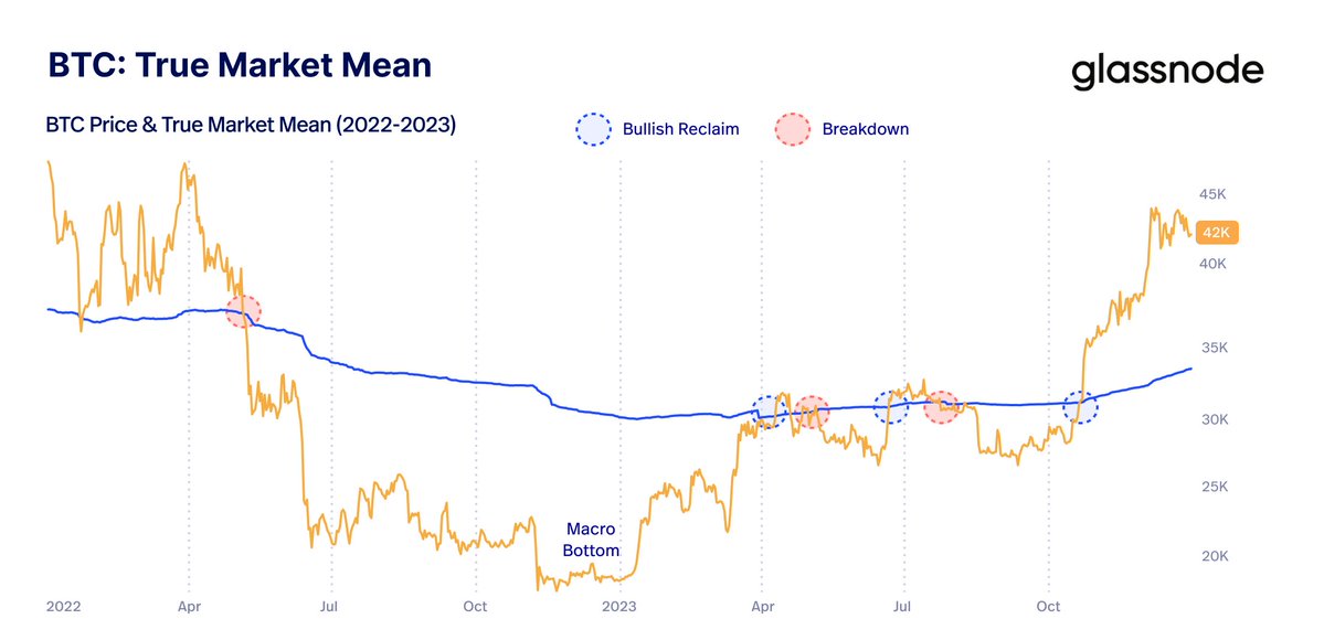Bitcoin Vector tweet media