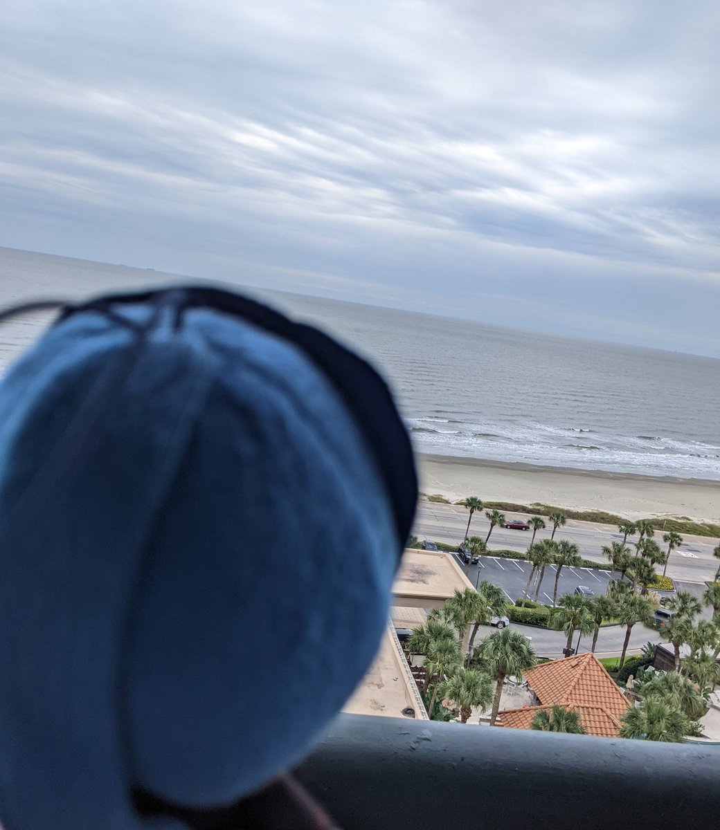 microzcopic's tweet photo. I am uninterested in celebrating my own birth. Time is as ceaseless as the ocean. But when the younger wizards are just as ceaseless in their exuberance for my living another year... https://t.co/k70QxhBomT
