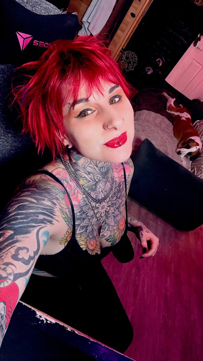 Twoootles tweet media