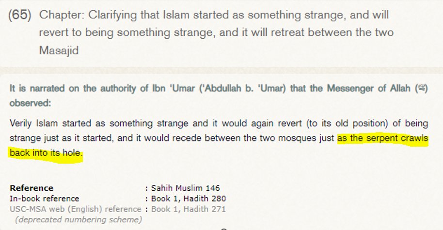 Michel Papineau 🇨🇦 tweet media