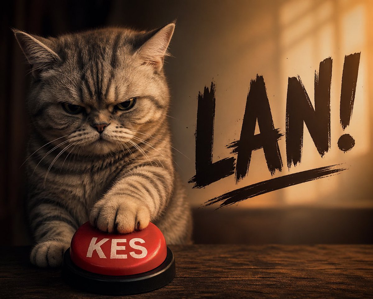 by__fth's tweet photo. Kes LAN
Alıntıla devam ettir https://t.co/wF2PE5W5pr