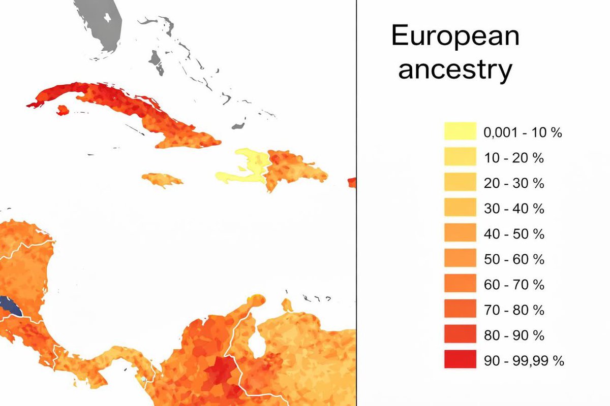 izzy 🇩🇴 tweet media