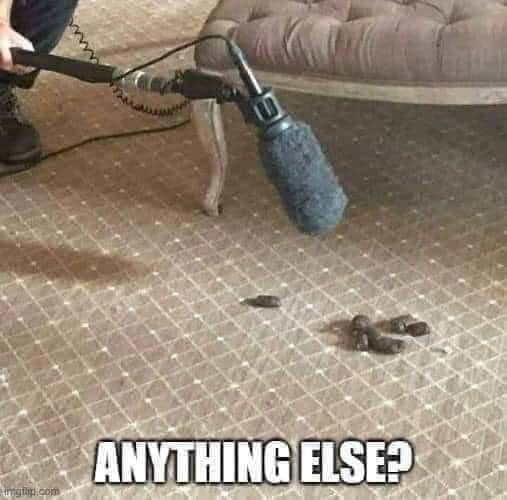 Voodoo Viking tweet media