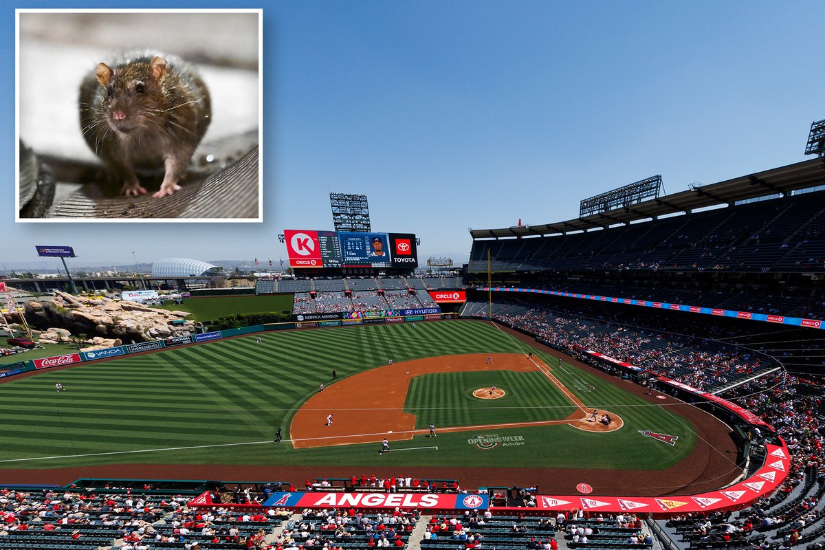 California Post tweet media