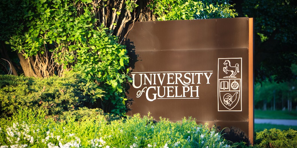 UofG Grad & Postdoctoral Studies tweet media