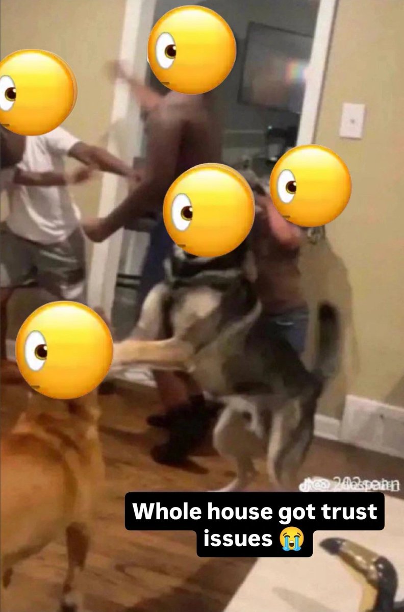 baykus • 🎭🦉 tweet media