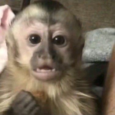 e esse final 
#delikanlı