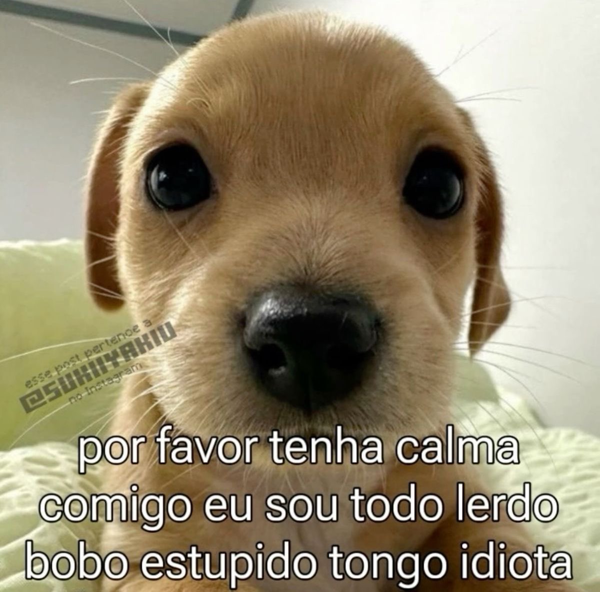 willwill tweet media