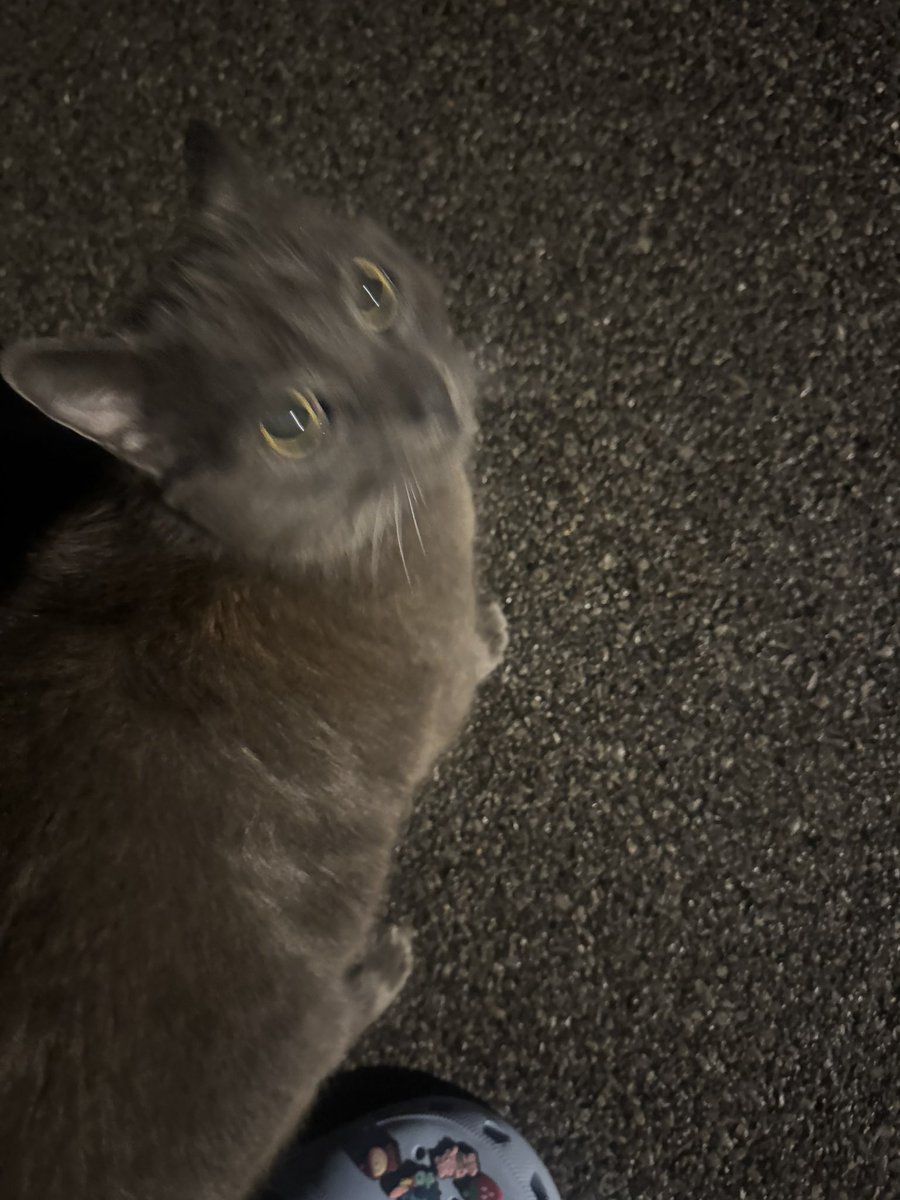 brooke ᯓ✮ tweet media