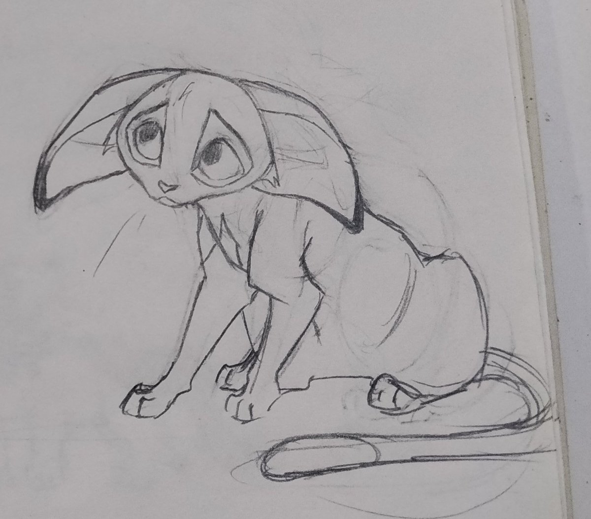 Bell_Whisker tweet media