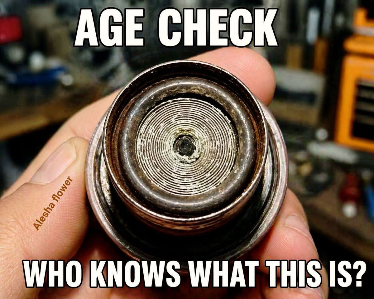 Alice 👑 tweet media