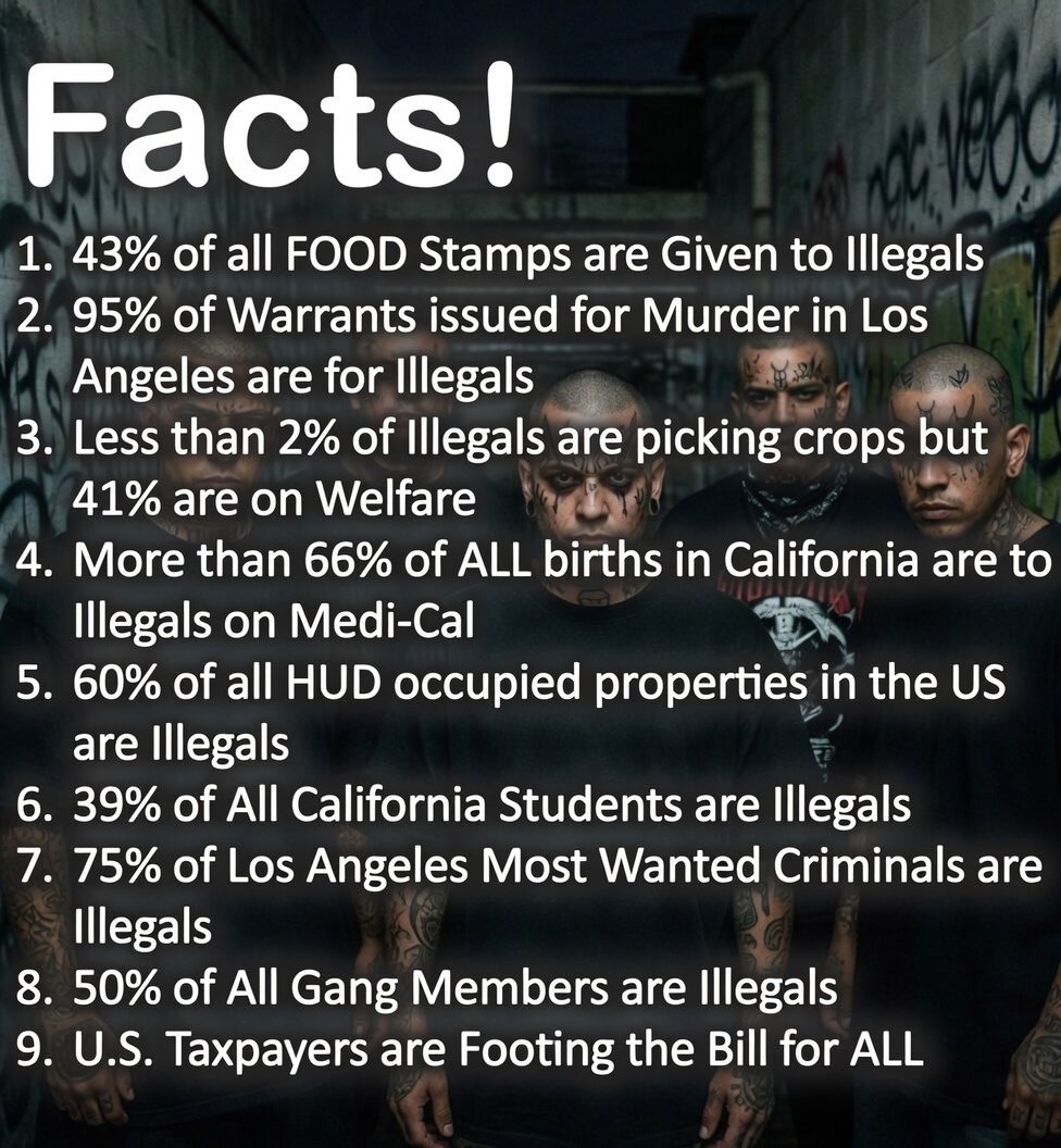 SaltyGoat tweet media