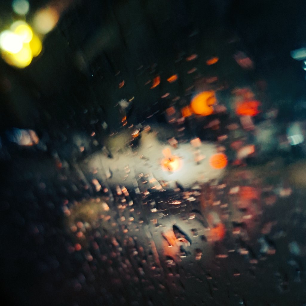 علیرضا tweet media