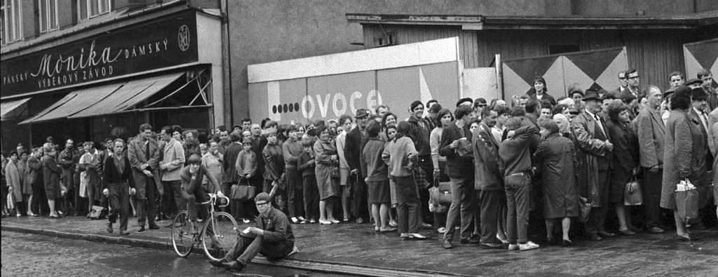 Michael🐻 opět hrdý na 🇨🇿, podporuje 🇺🇦 🇮🇱 tweet media