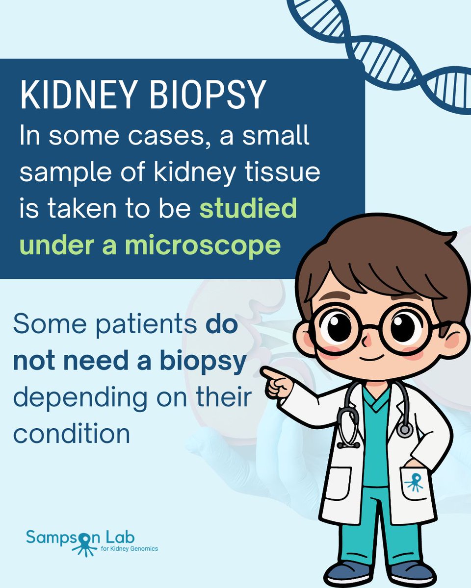 Sampson Lab for Kidney Genomics tweet media