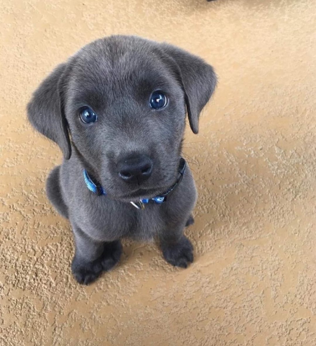 SolidKroket tweet media