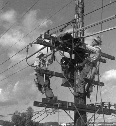 The Bull Moose Project tweet media