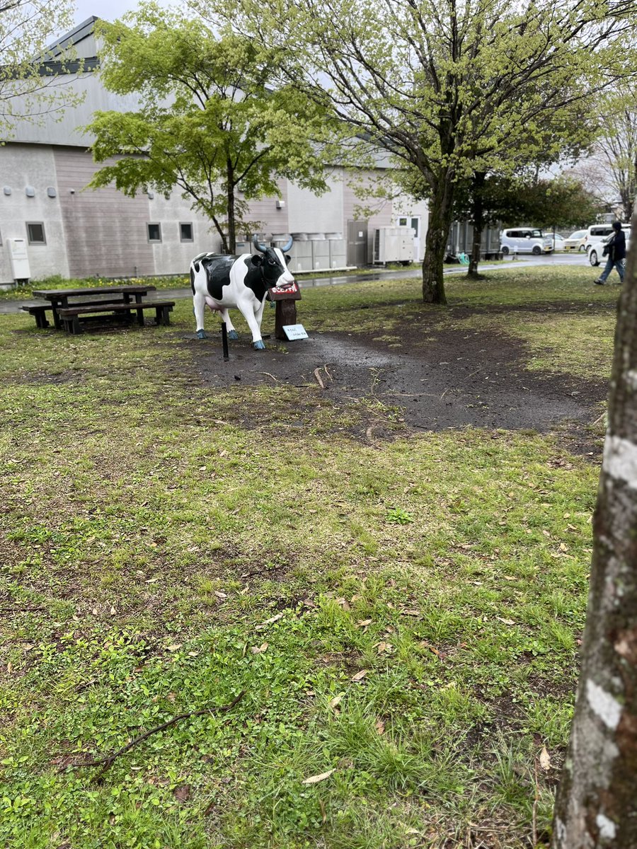 OneCub_OneHeart's tweet photo. おはようございます
昨日は惨敗
昼前に雨上がったので
富士眺望の湯 ゆらり で富士山は見えなかったがくつろいで幸せな一時だったのに
帰る途中で小雨から土砂降りに
 朝霧高原 で富士宮焼きそば食って  
 ライダーの義務 もはたす
今日くらいしか晴れ間は望めないんですけど https://t.co/H3JgnPDVu8