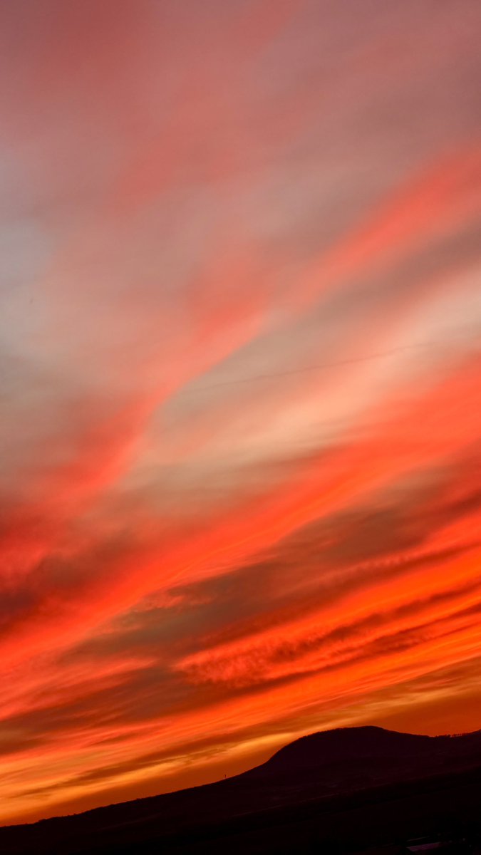 Puanga_rua's tweet image. Caught me off guard a bit tbh 🤍
#sunset #sky