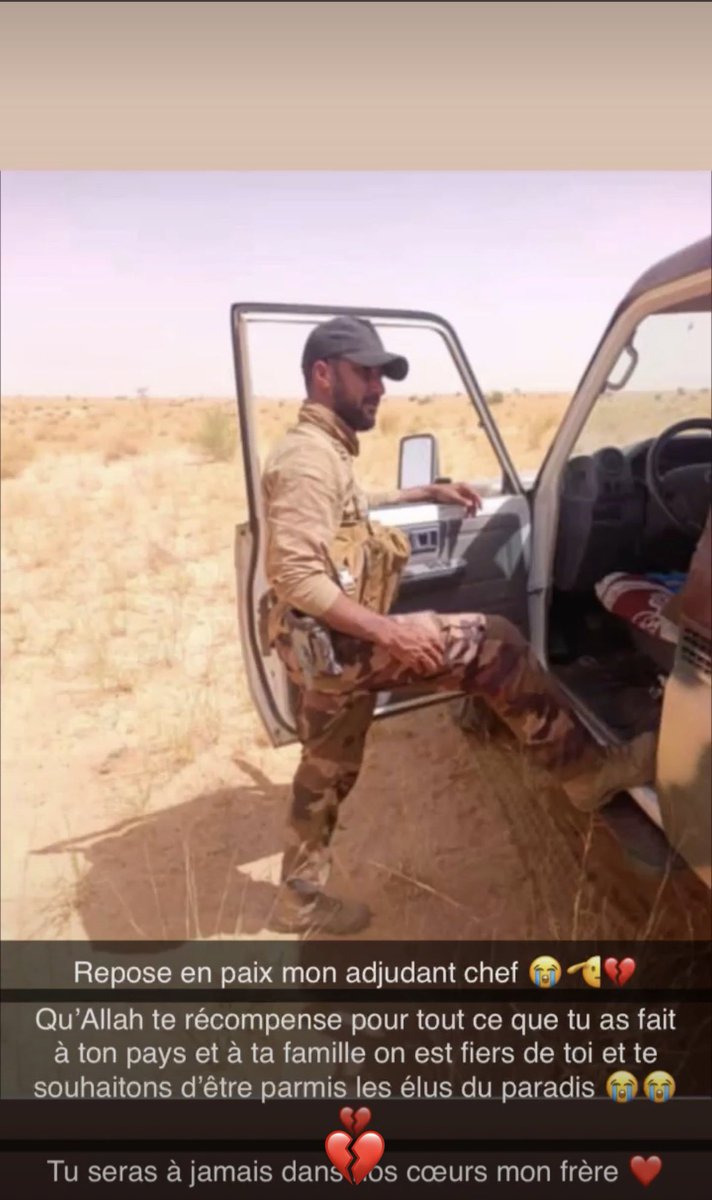 Free Gaza✊🏻 tweet media