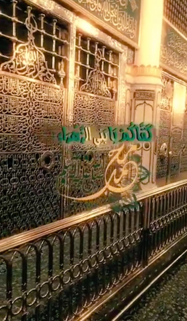 شمس الولايه tweet media