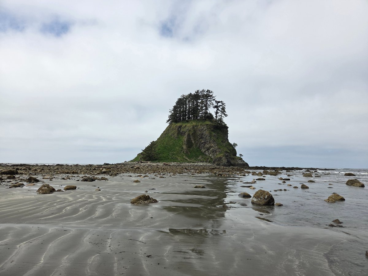 Jeremiah tweet media