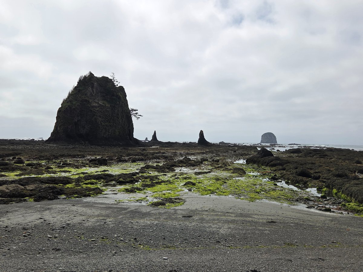 Jeremiah tweet media