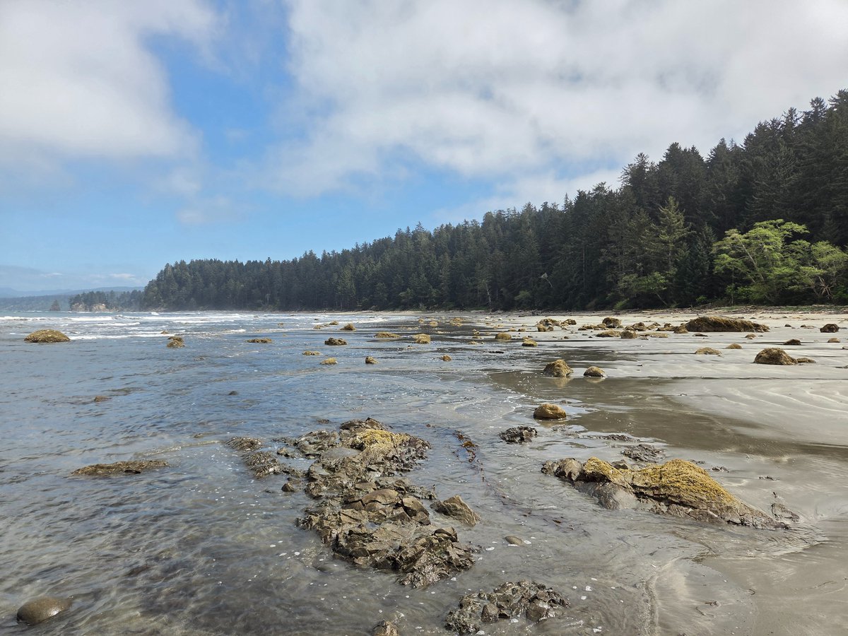 Jeremiah tweet media