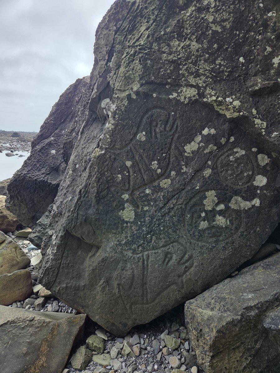 Jeremiah tweet media